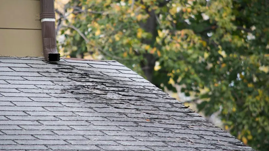 What should you do when your roof is leaking?